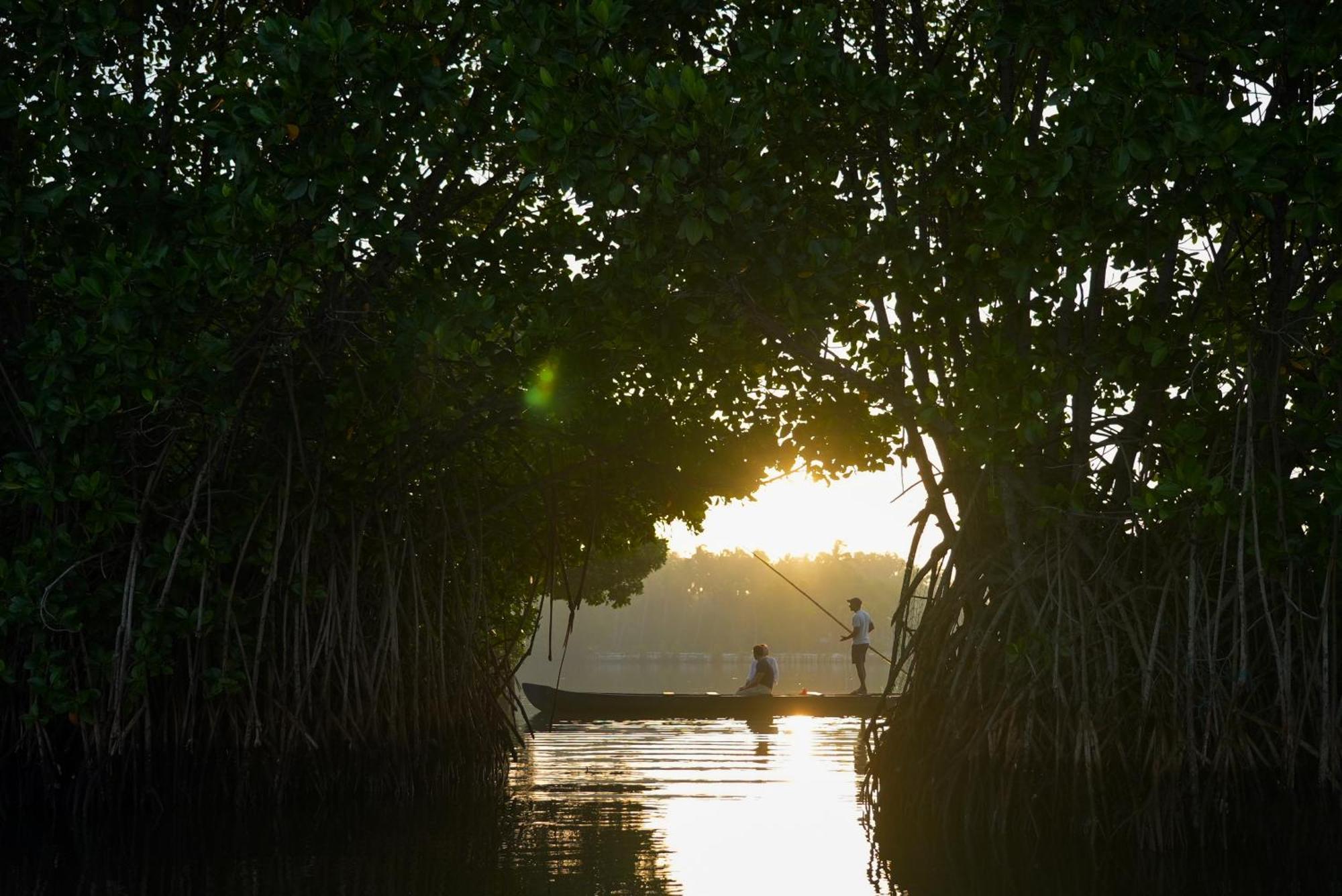 Kalloos Island Backwater Resort โกลลัม ภายนอก รูปภาพ